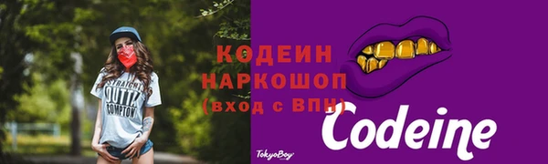 дмт Лагань