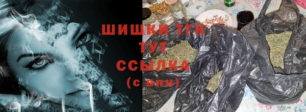 дмт Лагань