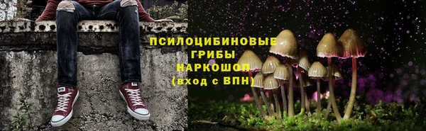 спайс Лабытнанги