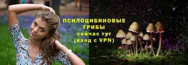 амфетамин Ладушкин