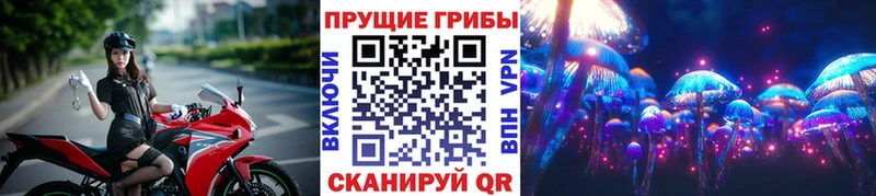 Галлюциногенные грибы ЛСД  Купить где  Трубчевск 